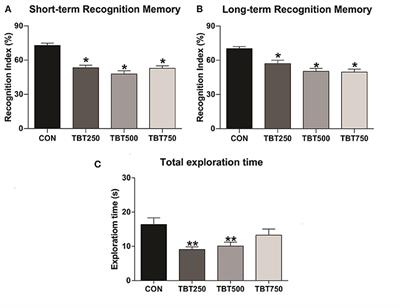 Tributyltin Exposure Is Associated With Recognition Memory Impairments, Alterations in Estrogen Receptor α Protein Levels, and Oxidative Stress in the Brain of Female Mice